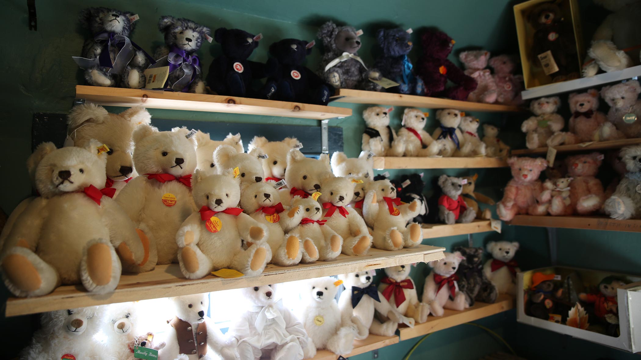 Teddy Bear Museum restaurants, addresses, phone numbers, photos